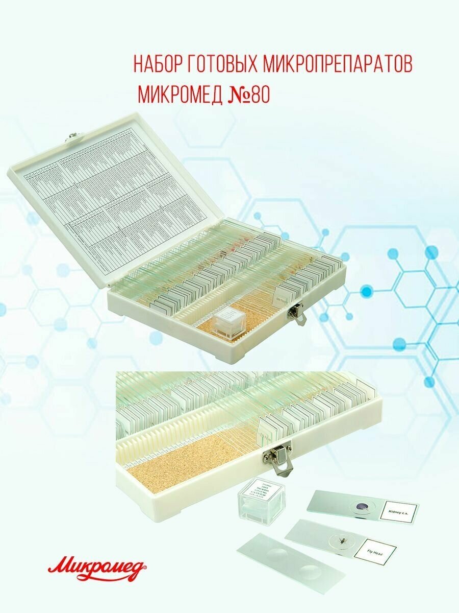 Набор готовых микропрепаратов Micromed №80 для детского/учебного микроскопа