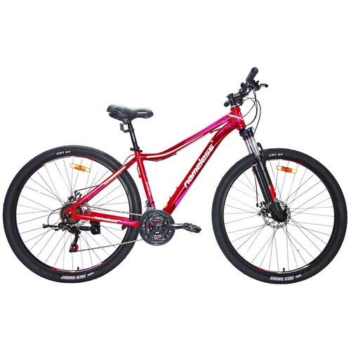 Горный (MTB) велосипед Nameless J9500DW 29 (2021), рама 17, фиолетовый