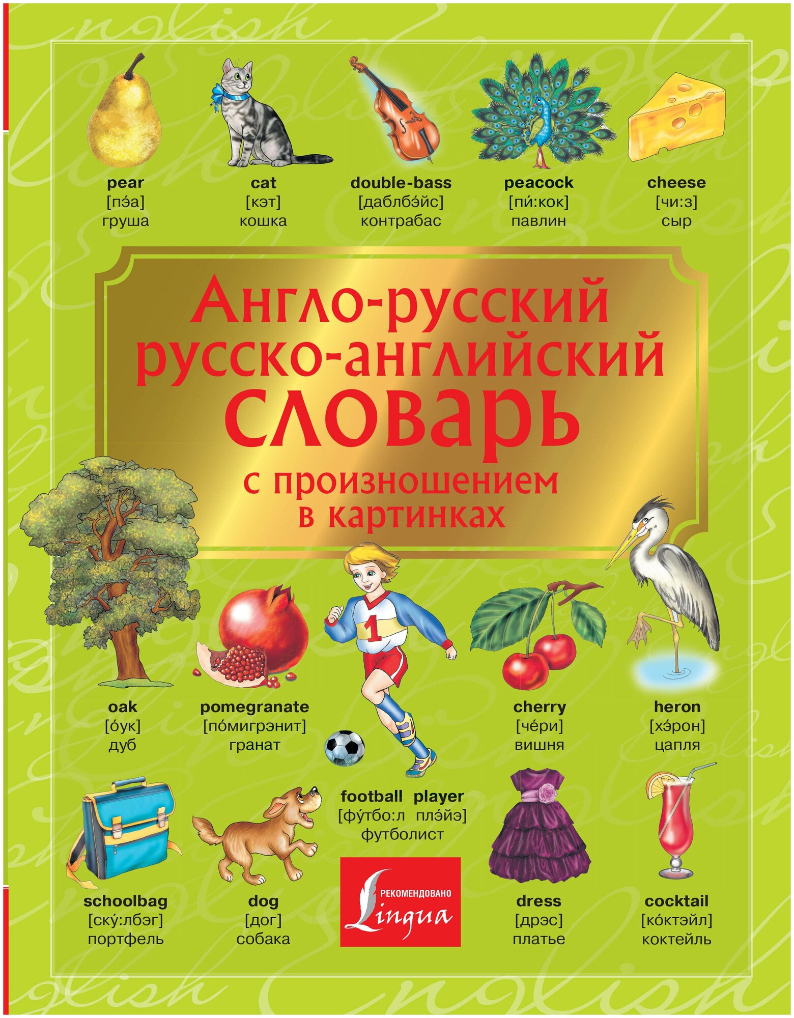 Англо-русский. Русско-английский словарь с произношением в картинках .