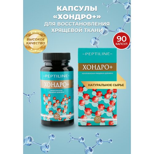 Капсулы «Хондро +» для восстановления хрящевой ткани sport s technologies laboratory iph aen bcaa 2 1 1 collagen для хрящей 120 таб