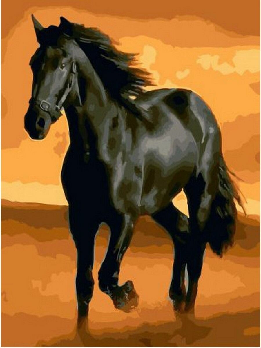 Картина по номерам Черный конь 40х50 см Hobby Home