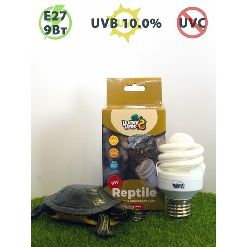 Ультрафиолетовая лампа UVB 10.0% - 9W для рептилий LuckyHerp. Цоколь Е27 ультрафиолетовая лампа uvb 6 0% 15w для рептилий luckyherp цоколь е27