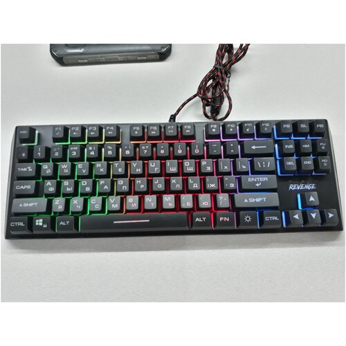 Клавиатура USB с подсветкой DEXP Revenge Combo игровая проводная 130700₽