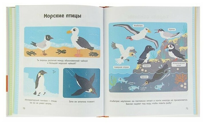 Энциклопедия животных для малышей - фото №8