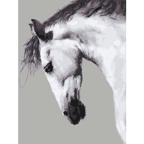 картина по номерам лошадь 40х50 см Картина по номерам Белая лошадь 40х50 см Hobby Home