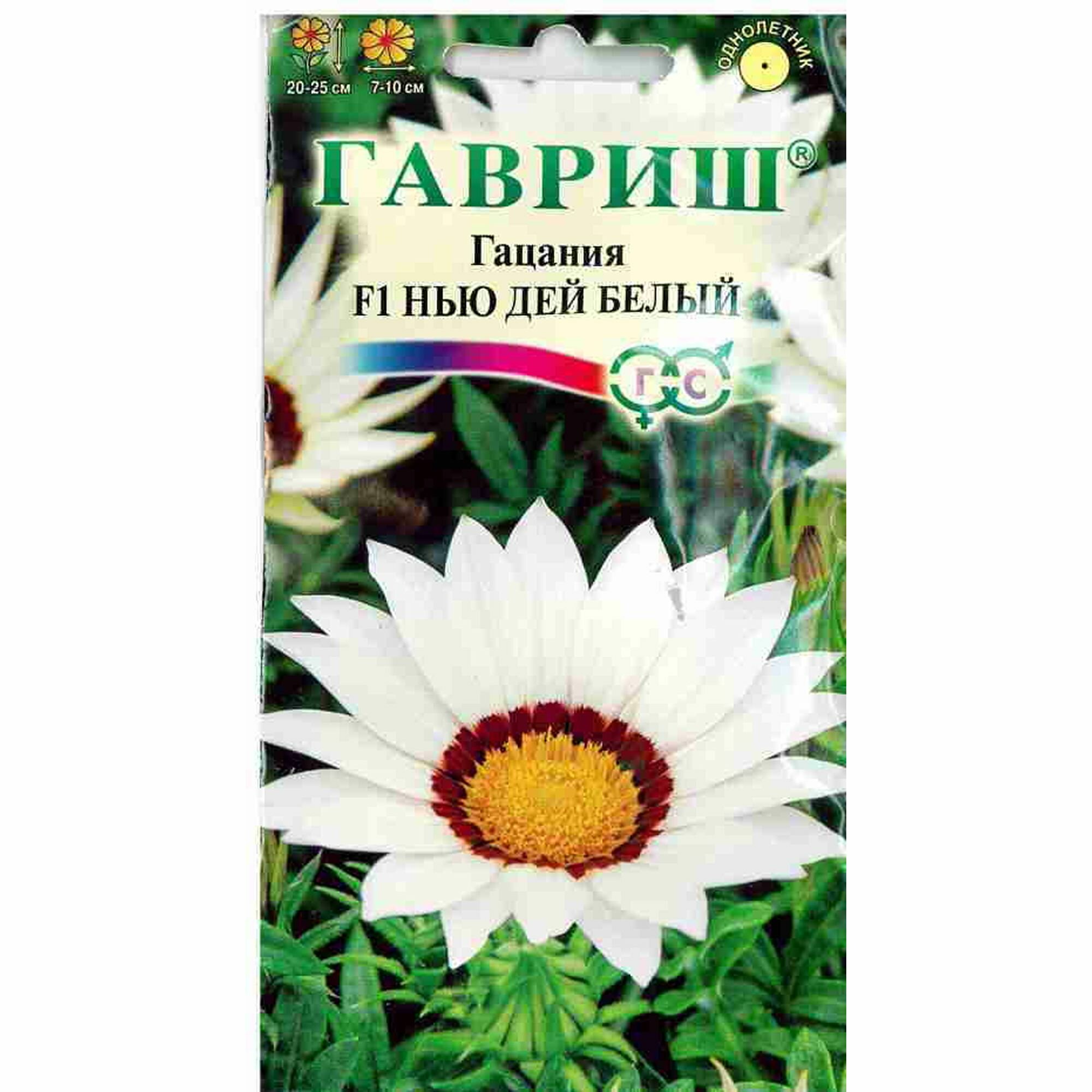 Семена Гацания Нью Дей Белый F1 однолетник Гавриш - Элитная клумба 1 пачка - 5 семян