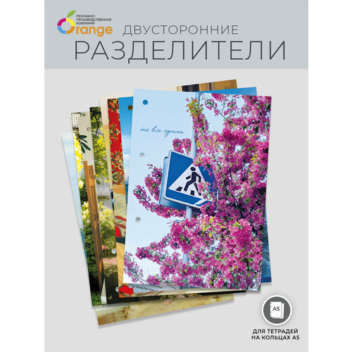 Разделители для тетради на 4 кольца а5 Студенческий 351₽