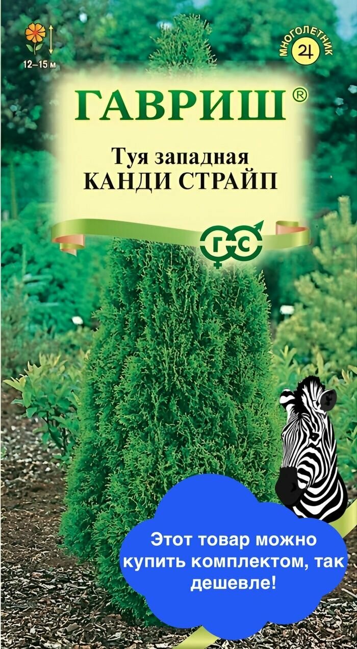 Туя западная Канди Страйп