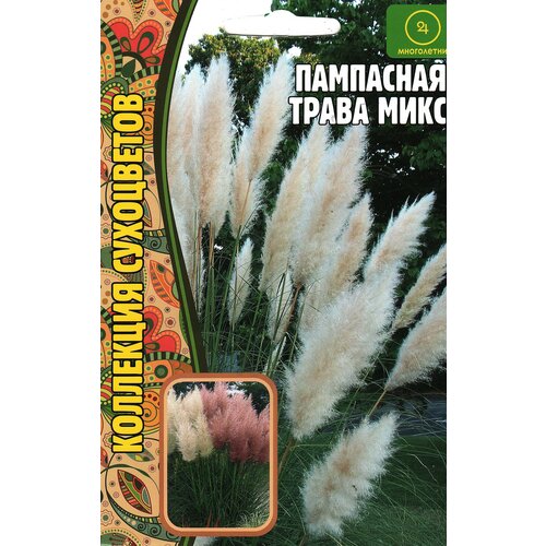 белая пампасная трава 10 пампасных стеблей пушистой пампасной травы для декора свадьбы дома и мероприятия сушеная пампасная трава Пампасная трава Микс, многолетник ( 1 уп : 0,01 г )