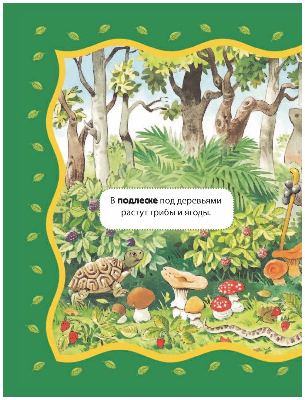 Энциклопедия для малышей (Цветкова Наталья) - фото №9