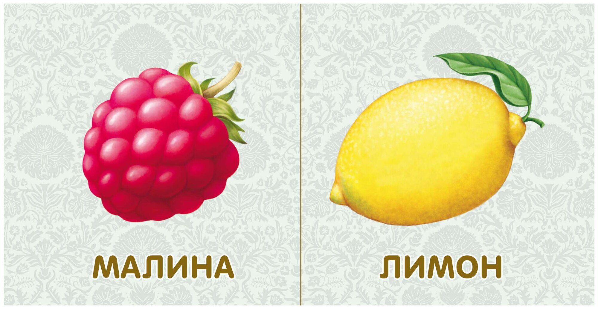 Фрукты и… (Гагарина М. (ред.)) - фото №3