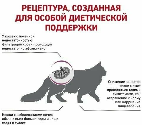 Корм Royal Canin Renal для кошек, для лечения почек, 2 кг - фотография № 13