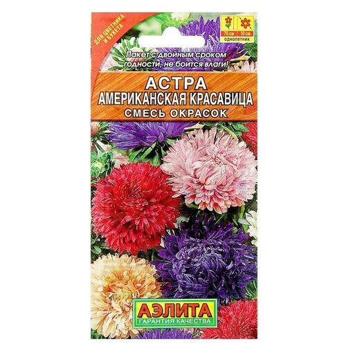 Семена цветов Астра Американская красавица, смесь окрасок, О, 0,2 г 4 шт