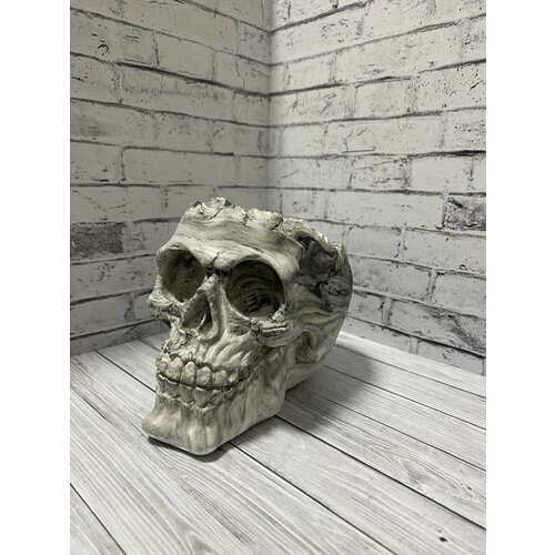 Кашпо череп органайзер из гипса подставка для мелочи 630₽