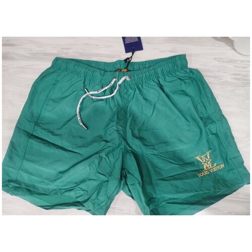 Шорты плавательные спортивные купальные 1200₽