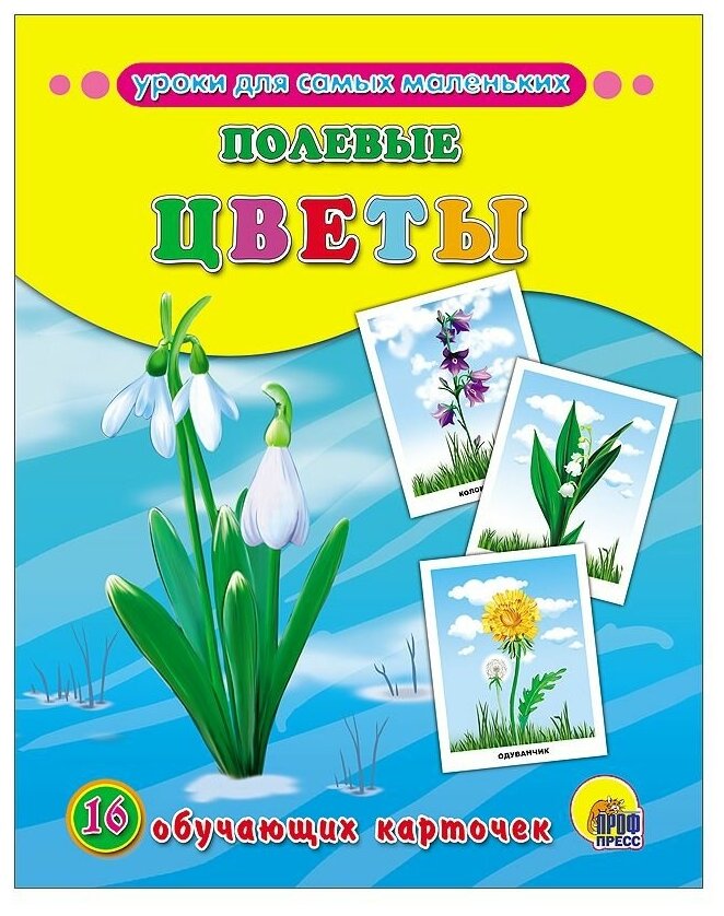 Набор обучающих карточек Проф-пресс Уроки для самых маленьких. Полевые цветы. 16 обучающих карточек. 2022 год