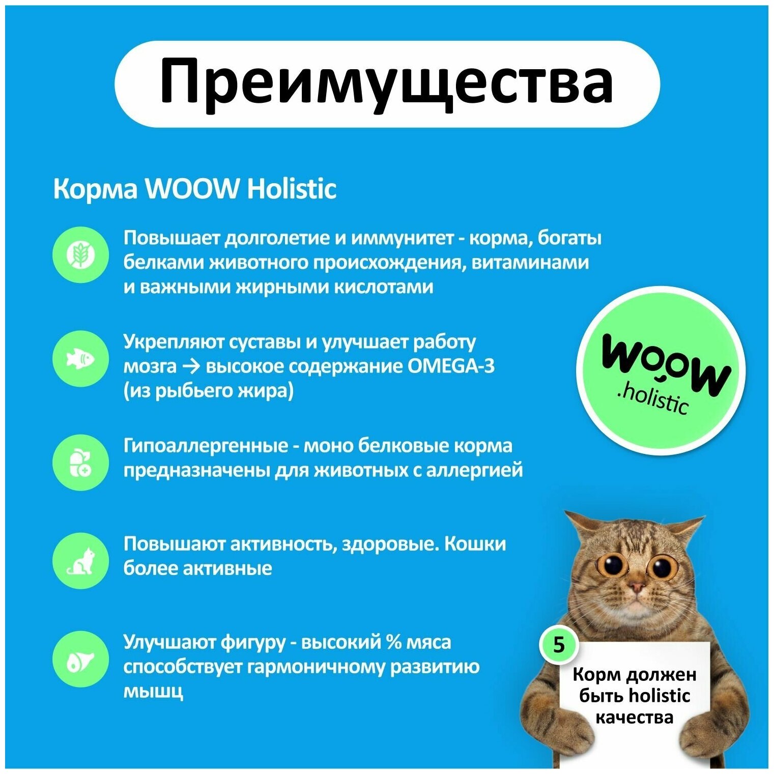 Корм для кошек WOOW филе в желе цыплёнок со скумбрией 100гр (12 банок) - фотография № 7