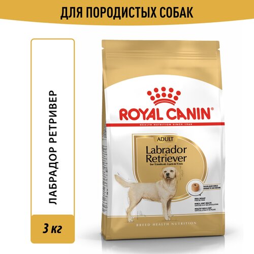 Корм для собак Royal Canin Labrador Retriever (Лабрадор Ретривер Эдалт) Корм сухой для взрослых собак породы Лабрадор Ретривер от 15 месяцев, 3 кг корм для собак royal canin labrador retriever puppy лабрадор ретривер паппи сухой для