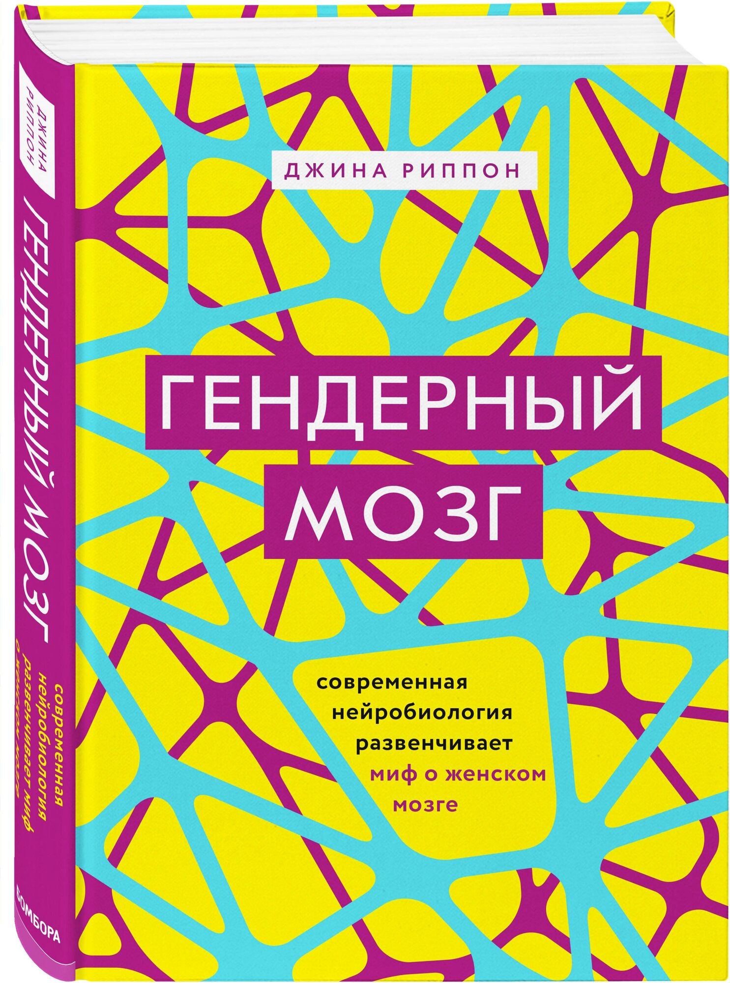 Гендерный мозг. Современная нейробиология развенчивает миф о женском мозге - фото №1