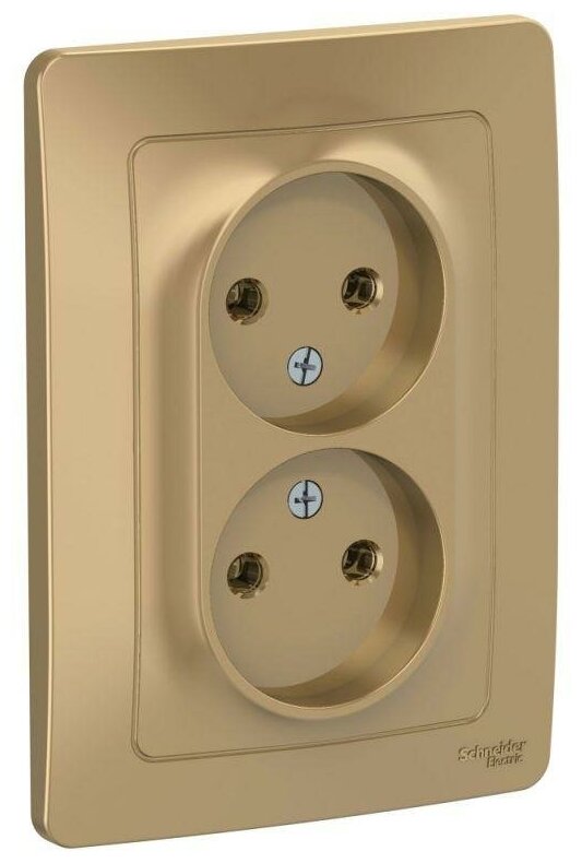 фото Розетка 2-м СП BLANCA 16А 250В без шторок без заземл. титан SchE BLNRS000024