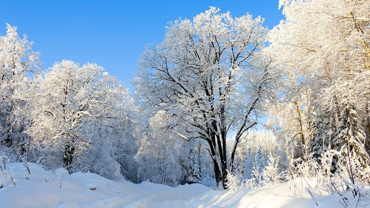 Картина на холсте 60x110 LinxOne "Природа россия лес урал зима" интерьерная для дома / на стену / на кухню / с подрамником