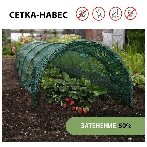 Парник от птиц: сетка 8 × 2 м, затенение 50%; 6 дуг из стеклопластика, d = 4 мм