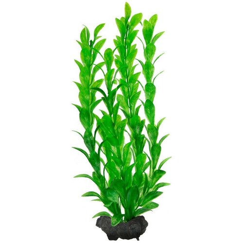 Растение аквариумное с утяжелителем Tetra Hygrophila 1, 15см