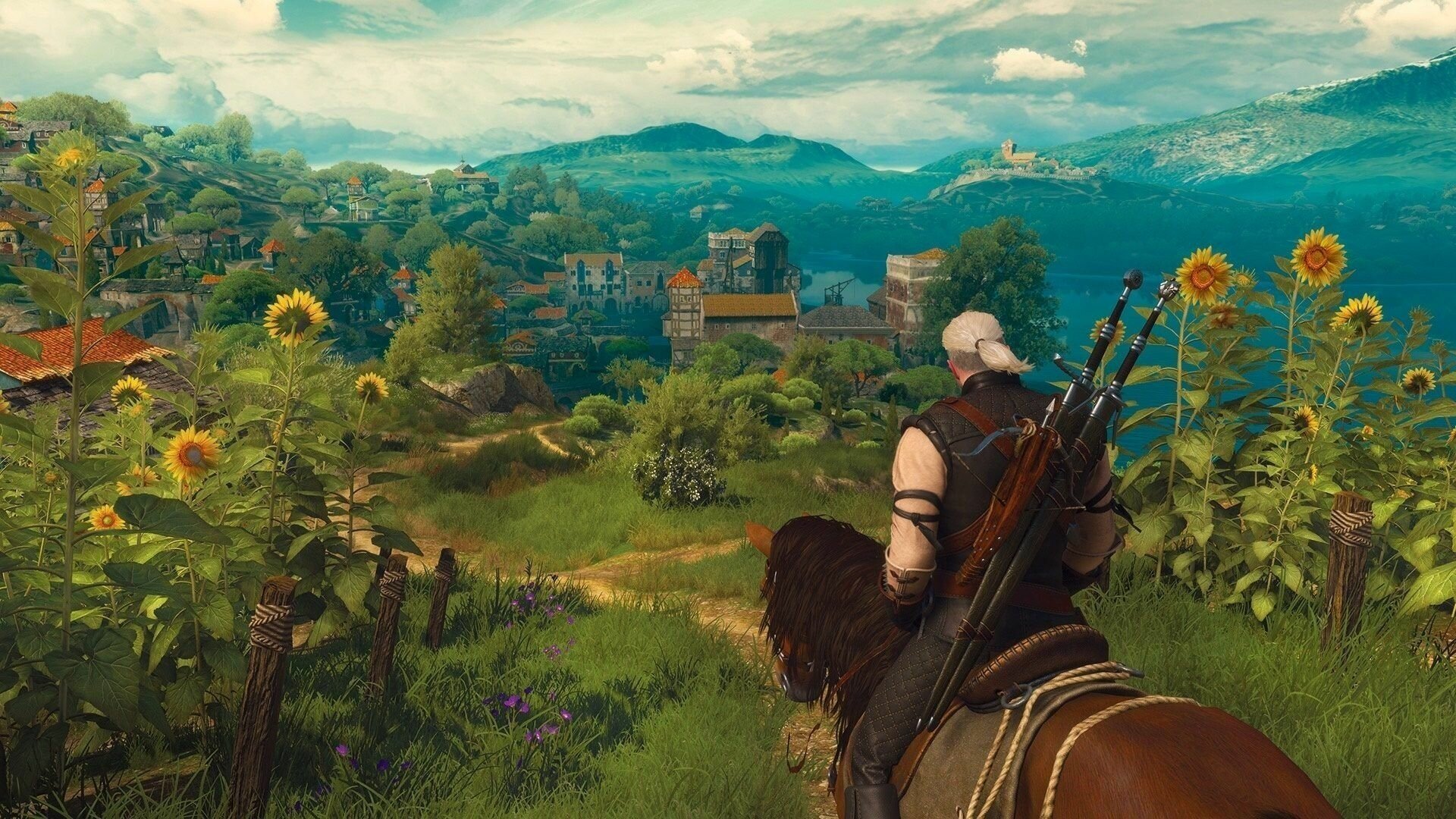 The witcher 3 для nintendo switch фото 85