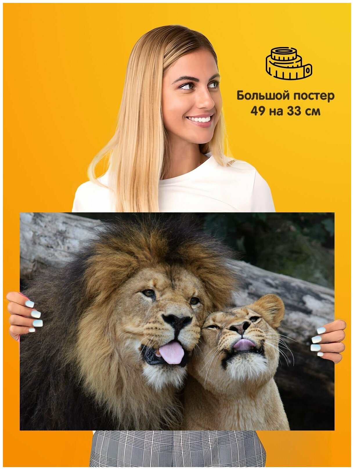 Постер плакат Лев и львица