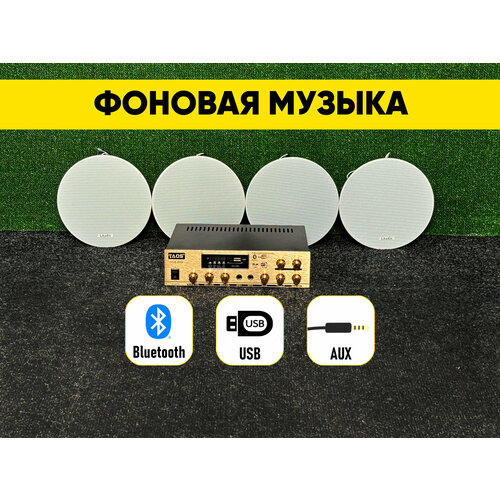 Потолочная акустика комплект 1799000₽