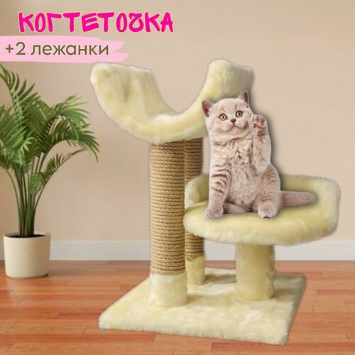 Комплекс для котят и кошек