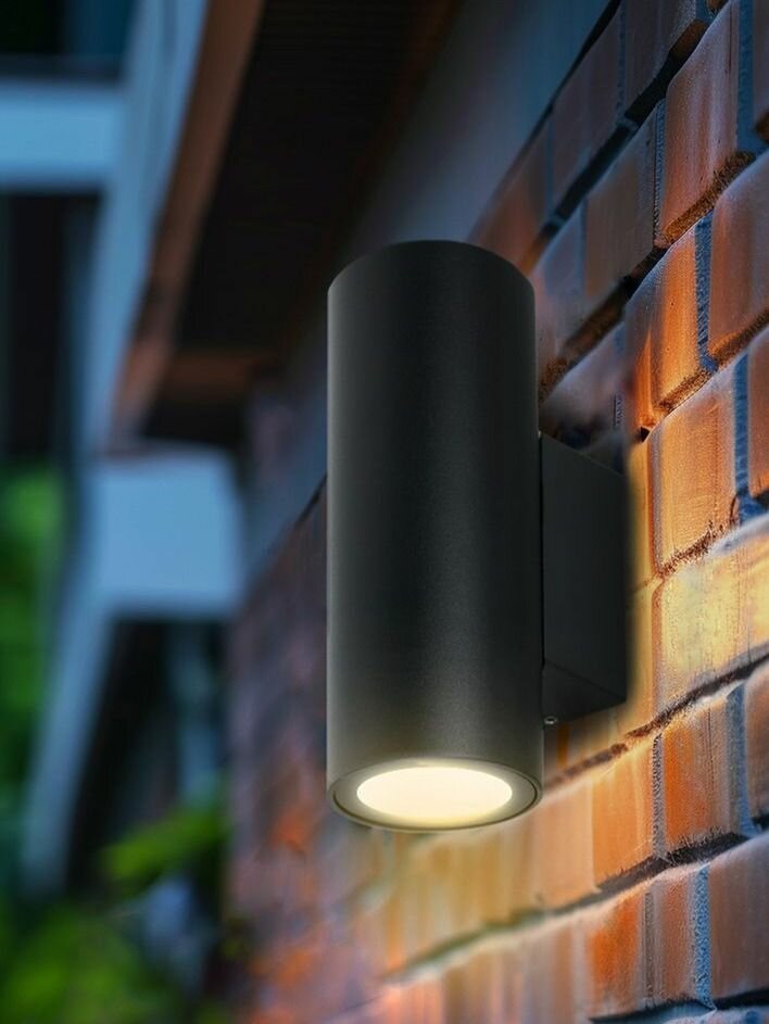 Светильник уличный настенный светодиодный Arte Lamp Torcular A1807AL-2BK