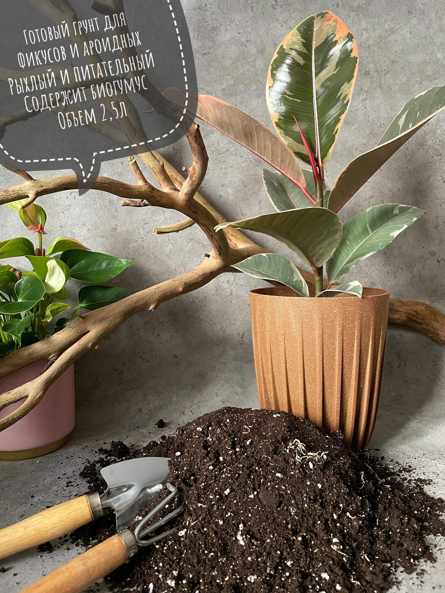 Премиум грунт для Фикусов и ароидных 25л с биогумусом Terracotta Plants