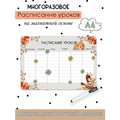 Расписание настенное уроков на магнитной основе А4 385₽