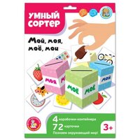 Развивающая игра Умный сортер "Мой, моя, моё, мои" 04868, Десятое Королевство