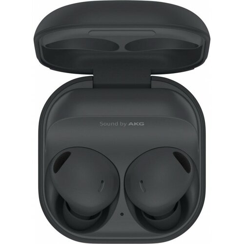 Наушники Samsung Galaxy Buds 2 Pro графит 1420300₽