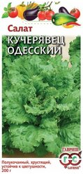 Семена Гавриш салат Кучерявец Одесский 0,5г