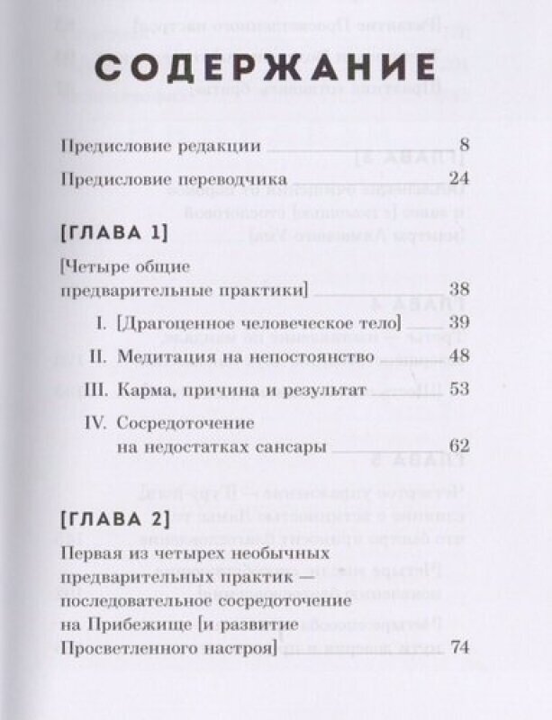 Светоч уверенности (Первый Джамгён Конгтрул Лодрё Тхае) - фото №2