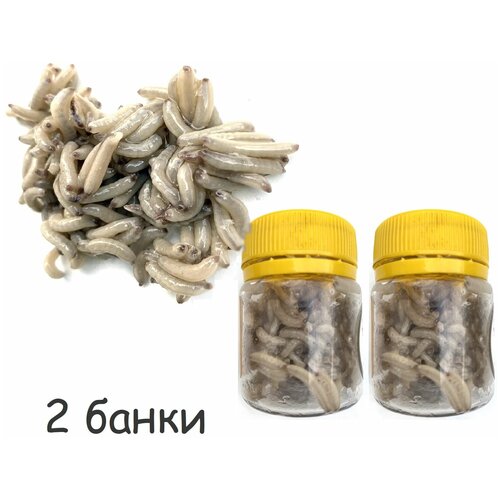 Съедобная белковая приманка Опарыш 40гр 2 шт 469₽