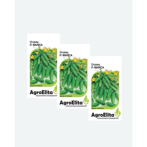 Семена Огурец Мареса F1, 5шт, AgroElita, Seminis(3 упаковки) семена огурец мареса f1 5шт цп