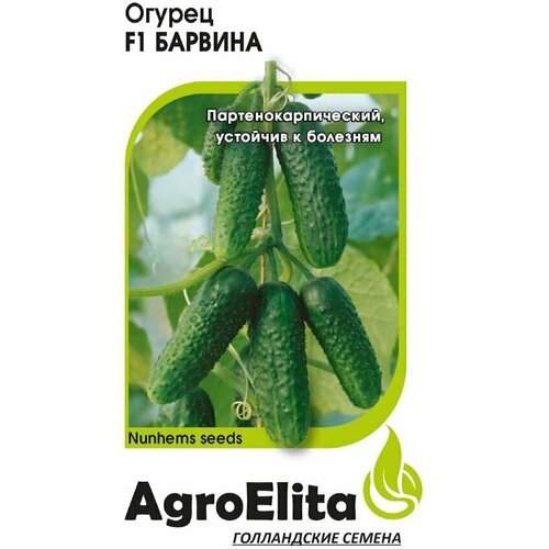 Семена Огурец Барвина F1, 5шт, AgroElita, Nunhems семена огурец барвина f1 5шт agroelita nunhems 3 упаковки