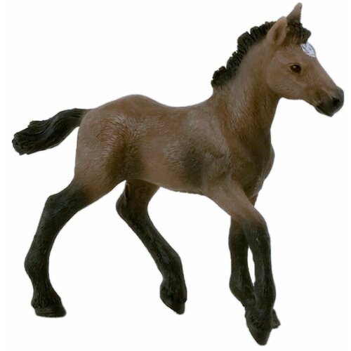 Животное перуанский жеребенок пасо животное французский жеребенок selle francais foal