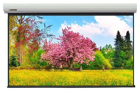 Экран для проектора Lumien Master Large Control 200" 249х443 см