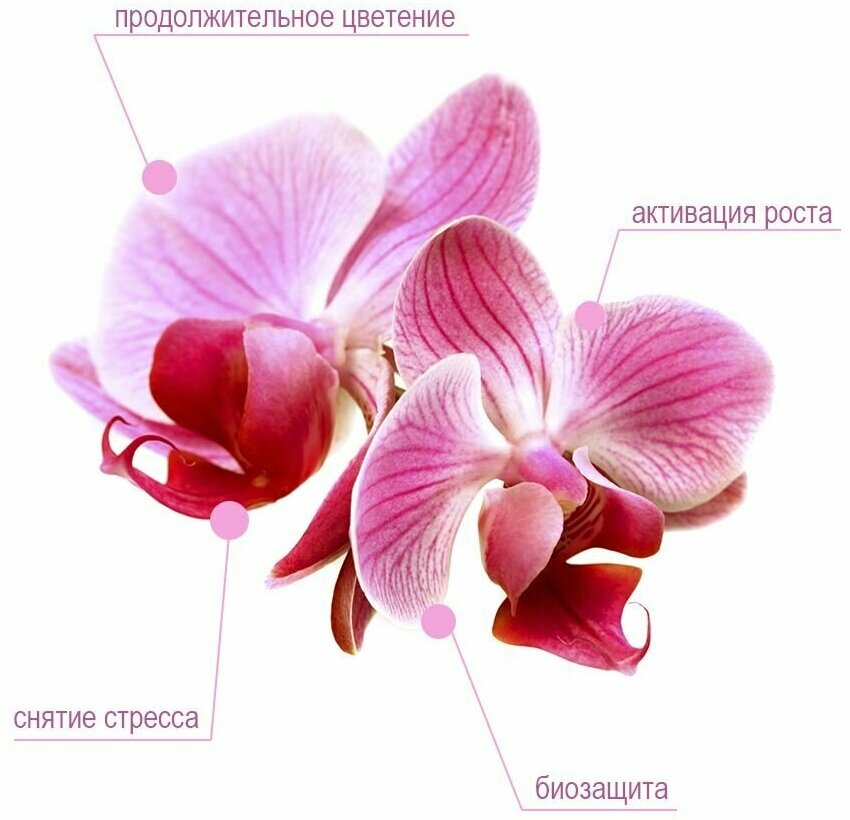Удобрение для Орхидей, 400мл JOY - фотография № 3