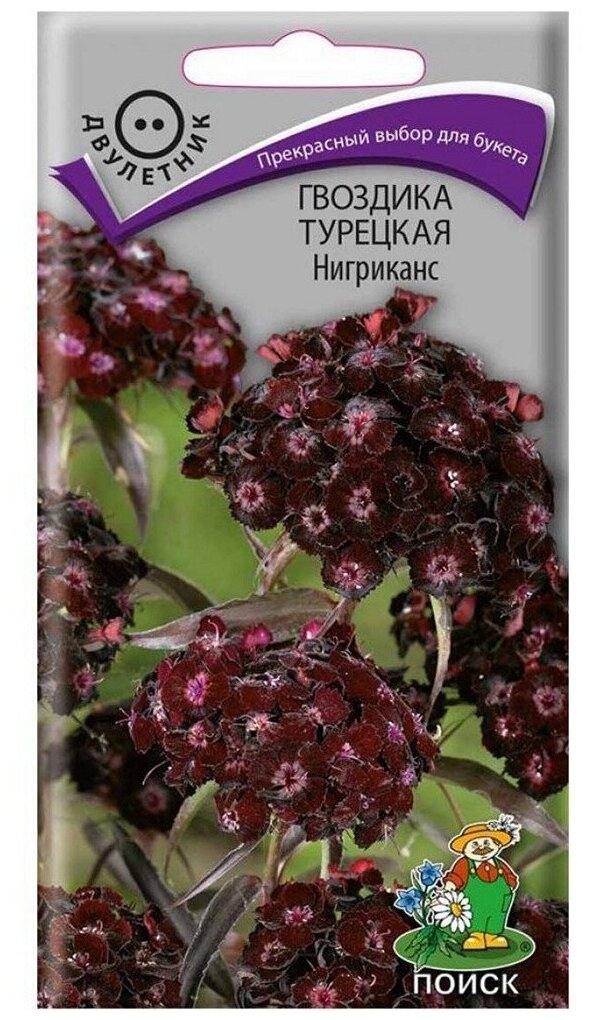 Гвоздика Турецкая Нигриканс (03 г) 2 пакета