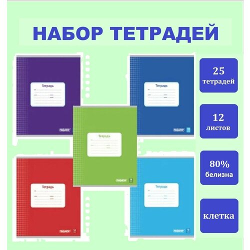 Тетрадь А5, 18 л, Пифагор, клетка, эконом - 25 шт