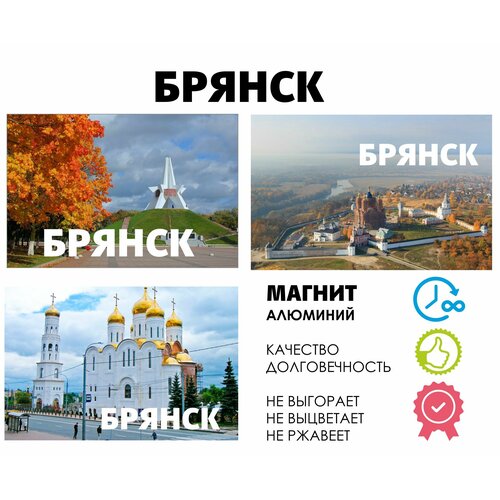 Набор магнитов город России Брянск 355₽