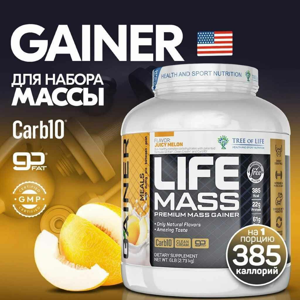 Life Mass Gainer 2730 gr, 27 порции(й), дыня