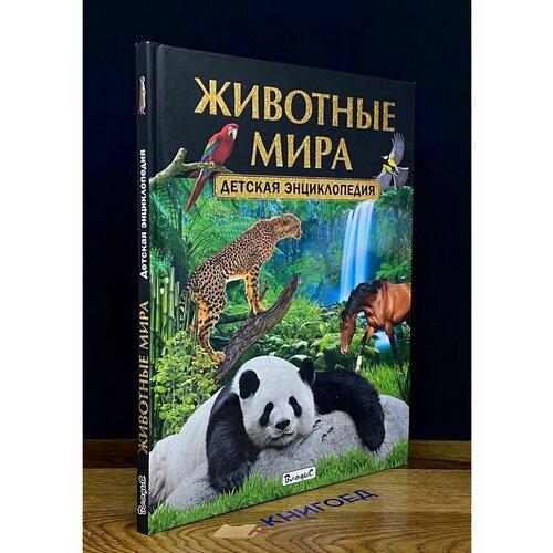 Животные России. Детская энциклопедия 2017