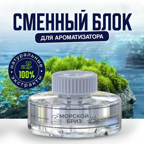 Ароматизатор в машину сменный блок 599₽
